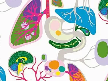 From vision to decision - Pharma 2020