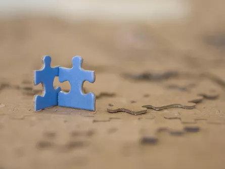 Probiotikumokkal az autizmus tünetei ellen