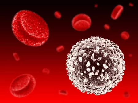 Féltucatnyi új hatóanyag a myeloma gyógyítására