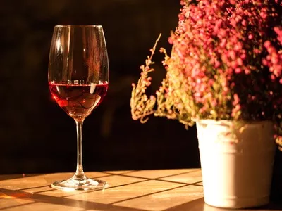 Az alkohol mint agytisztító