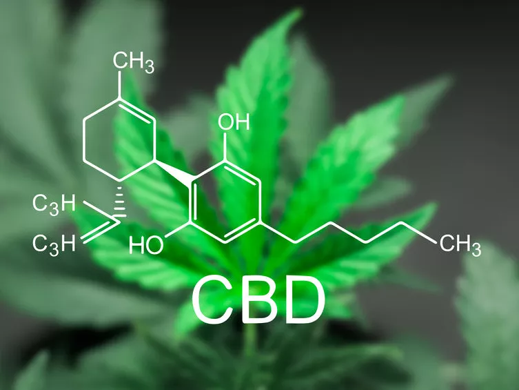 Németországi tapasztalatok az orvosi kannabisszal