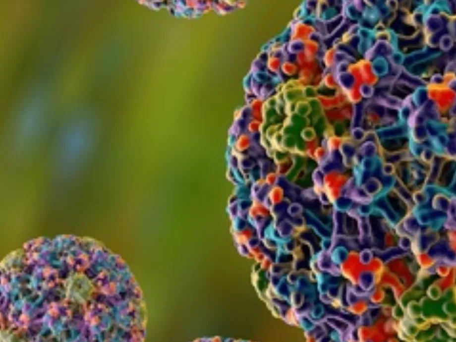 A HPV-fertőzés kockázatai és megelőzési lehetőségei