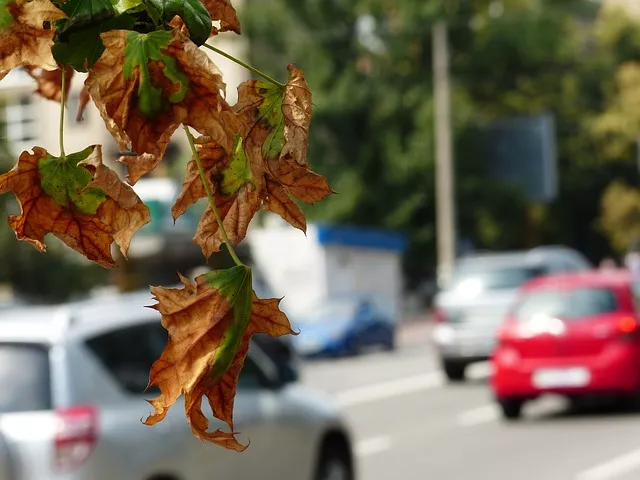 A légszennyezettség és a hőség felerősítheti az asztmás tüneteket