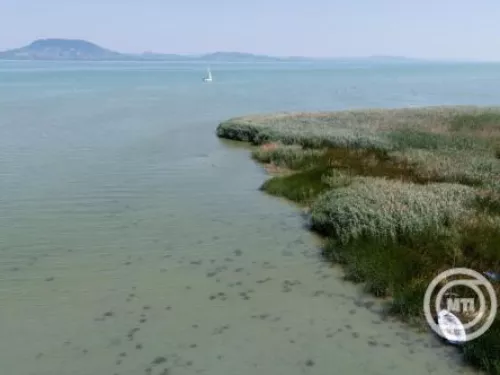 Gyógyszermaradványok és vegyszerek is terhelik a Balatont