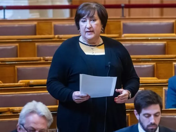 A gyógyszerbeszerzés központosításáról a Parlamentben