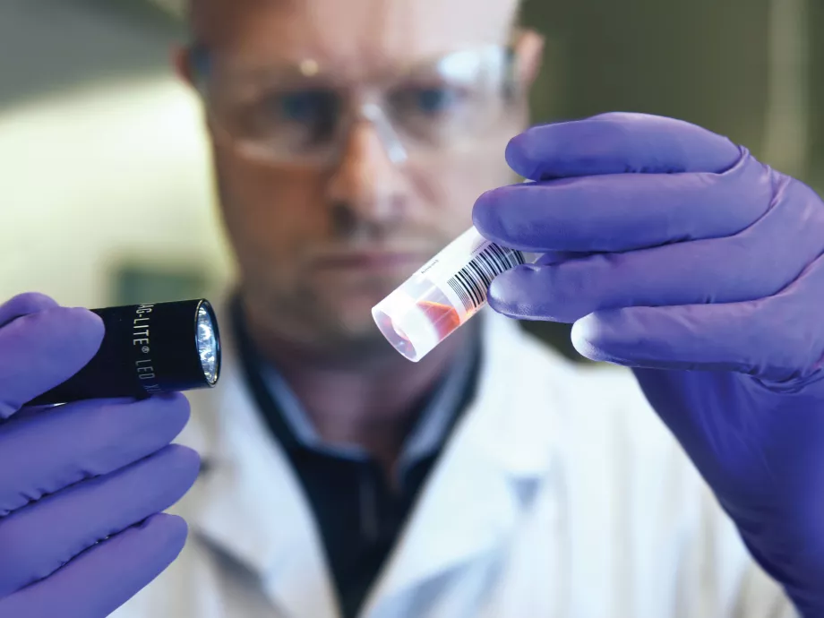 A Novartis akvizíciós stratégiája a szabadalmi lejáratok árnyékában