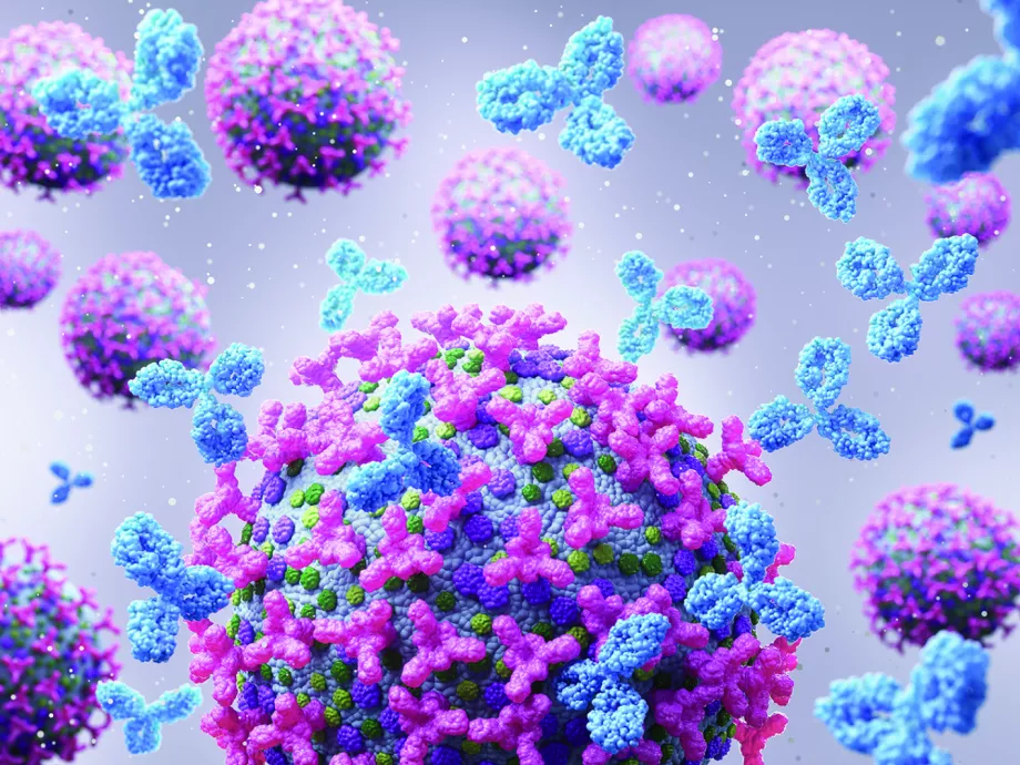 A kevesebb is elég lehet? – optimalizált dózisú immunterápia a melanóma kezelésében