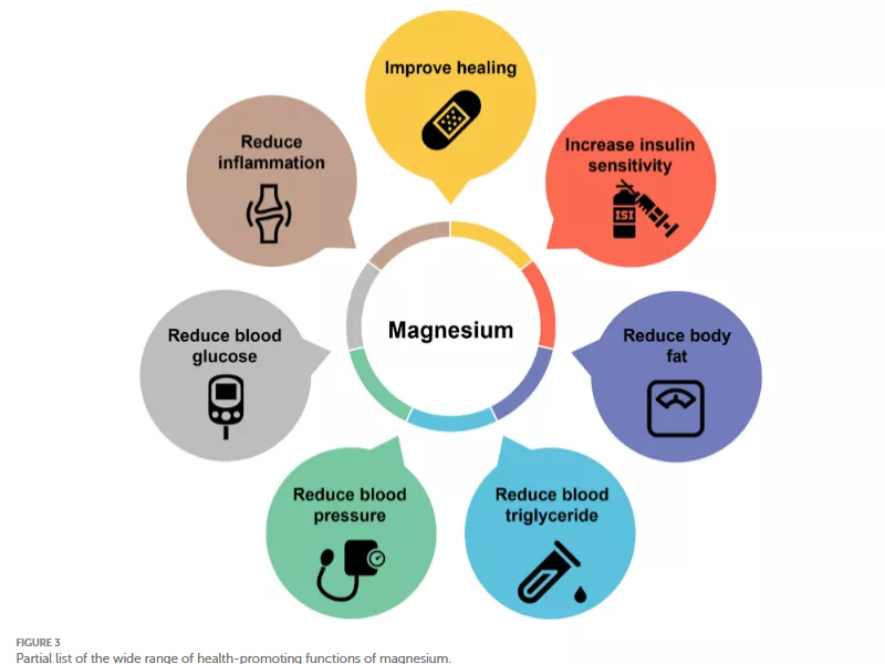 A magnéziumhiány nem csupán elektrolit-, hanem metabolikus probléma