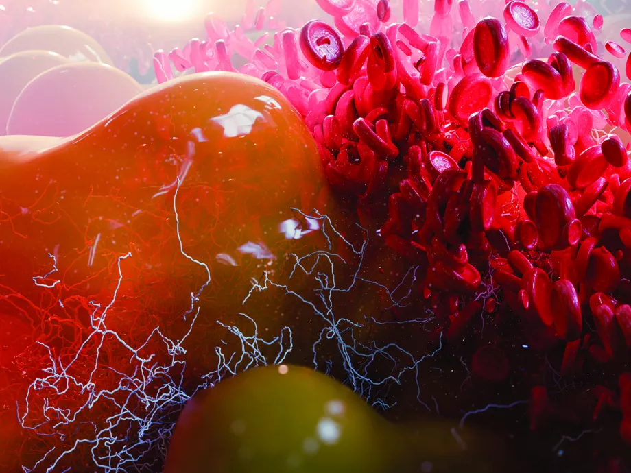 Mesterséges intelligencia segítségével azonosított peptid az elhízás kezelésében
